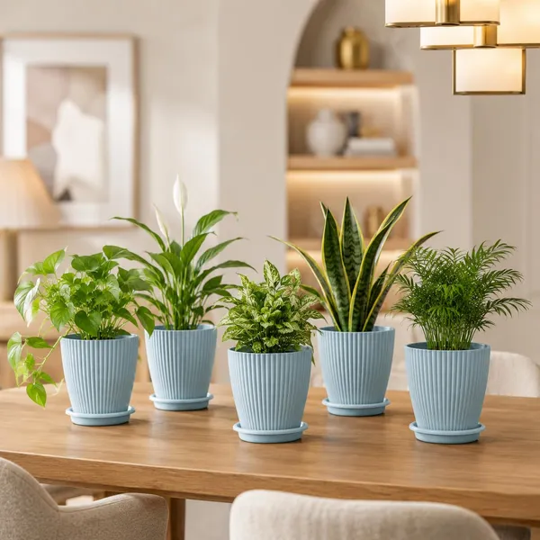 Plastic_Planter_With_Drainage_Tray