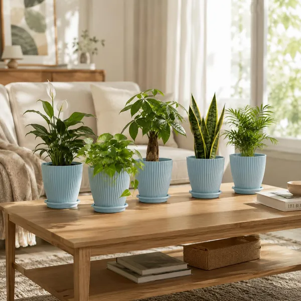 Plastic_Planter_With_Drainage_Tray