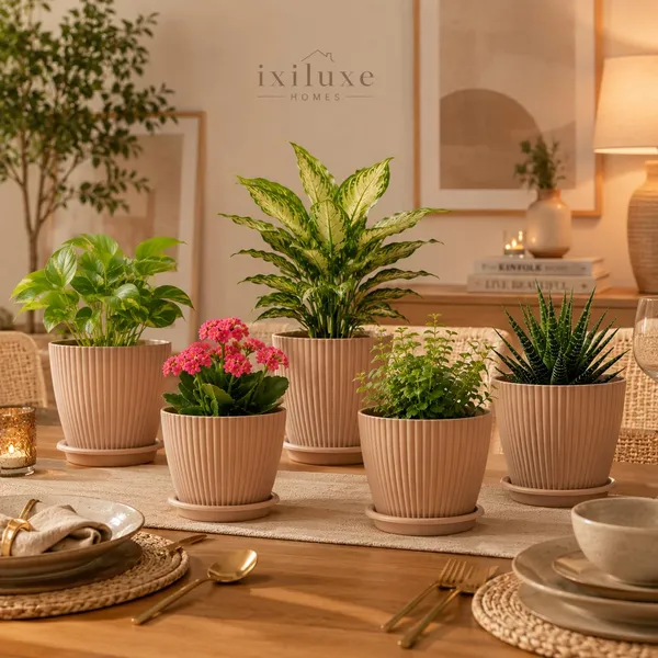 Plastic_Planter_With_Drainage_Tray