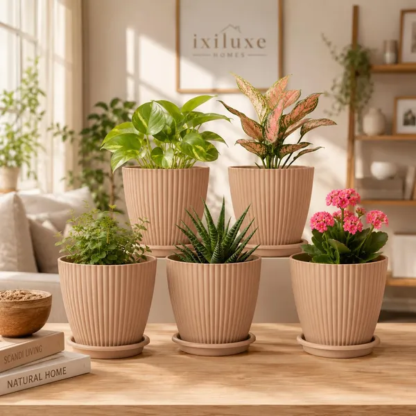 Plastic_Planter_With_Drainage_Tray