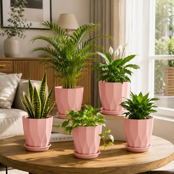 Plastic_Plant_Pot_With_Drain_Tray