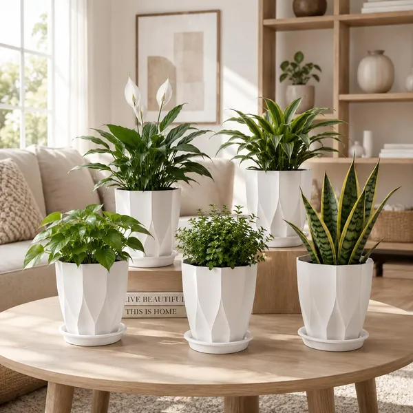 Plastic_Plant_Pot_With_Drain_Tray