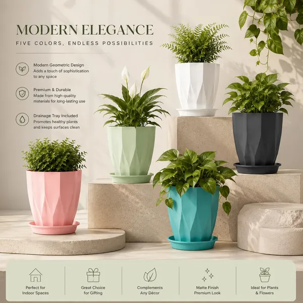 Plastic_Plant_Pot_With_Drain_Tray