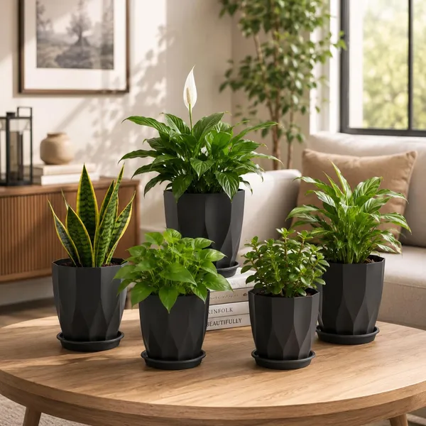 Plastic_Plant_Pot_With_Drain_Tray