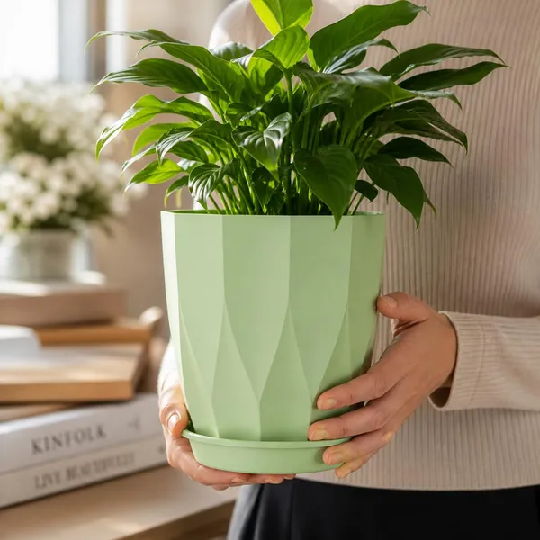Plastic_Plant_Pot_With_Drain_Tray