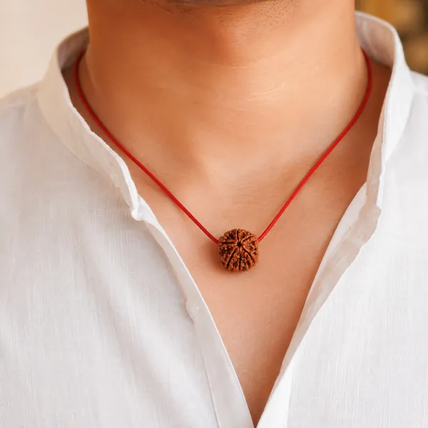 5_Mukhi_Rudraksha_–_Authentic_Lab_Certified_Rudraksh