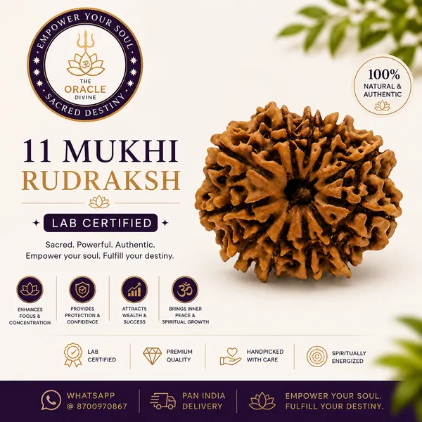 11_Mukhi_Rudrakh