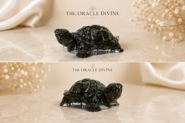 Black_Obsidian_Turtle