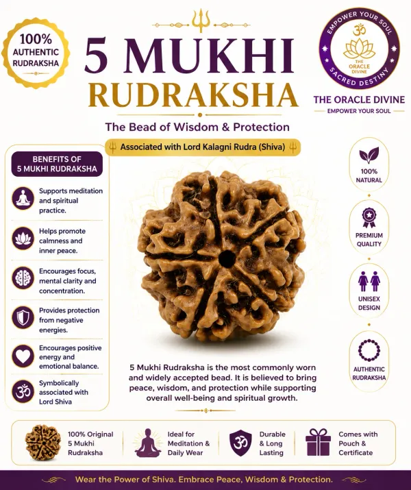 5_Mukhi_Rudraksh