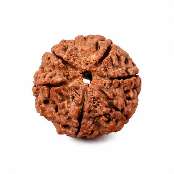 Brown_6_Mukhi_Rudraksha_Ganesh_Form
