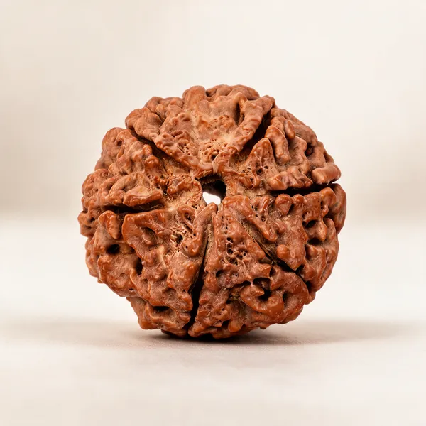 Brown_6_Mukhi_Rudraksha_Ganesh_Form