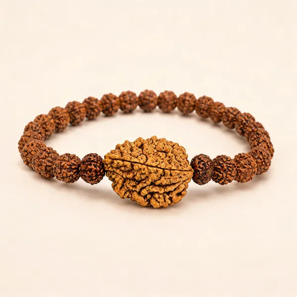 Brown_2_Mukhi_Rudraksha_Beads_Bracelet