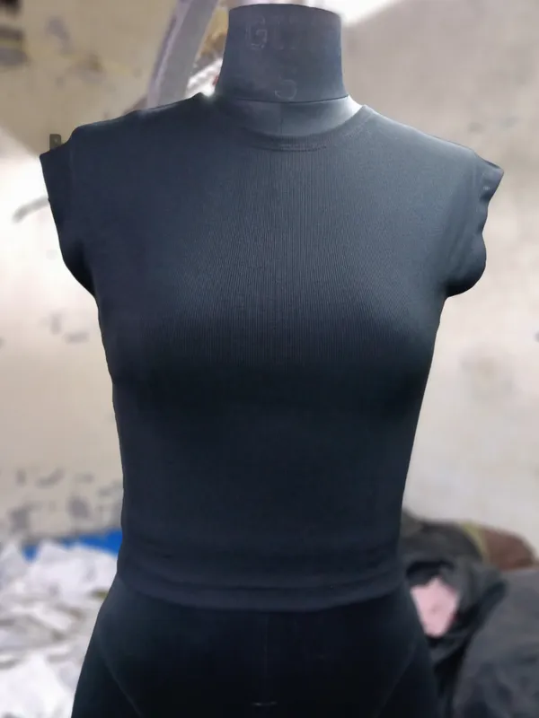 Black_Ribbed_High_Neck_Crop_Top_for_Women