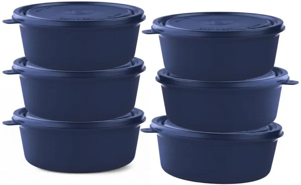 rajware_Microwave_Safe_Tiffin_Bowl,_Each_Navy_Blue_Color_6_Containers_Polypropylene,_Stainless_Steel_Office_Lunch_Box_(250_ml,_Microwave_Safe)