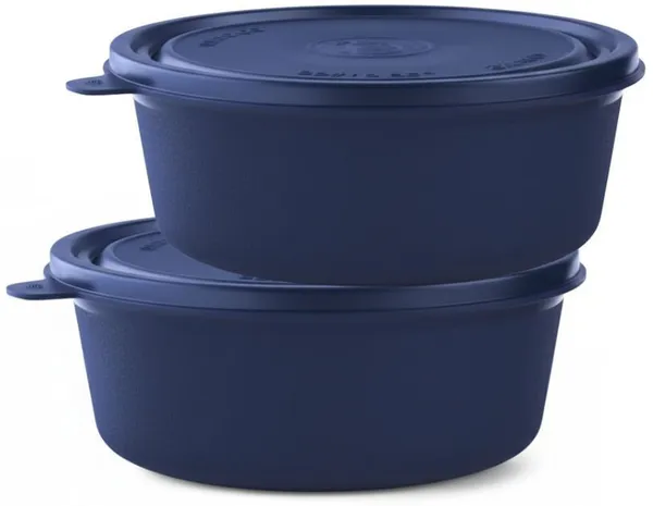 rajware_Microwave_Safe_Tiffin_Bowl,_Navy_Blue_Color_2_Containers_Polypropylene,_Stainless_Steel_Office_Lunch_Box_(250_ml,_Microwave_Safe)