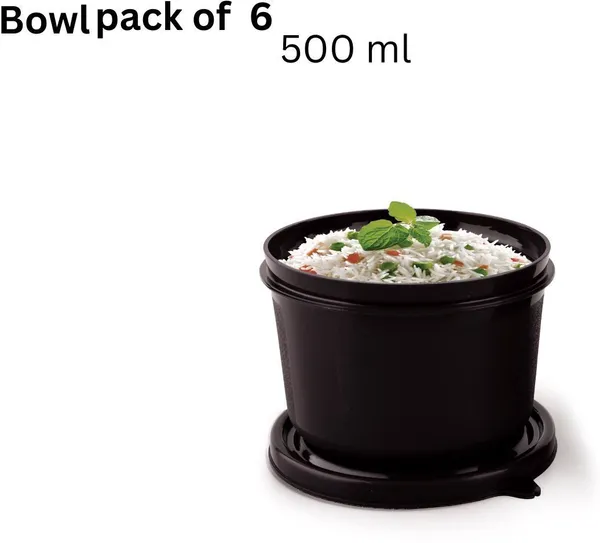 rajware_Microwave_Safe_Tiffin_Bowl,_Each_–_BLACK_Color_6_Containers_Polypropylene,_Stainless_Steel_Office_Lunch_Box_(500_ml,_Microwave_Safe)