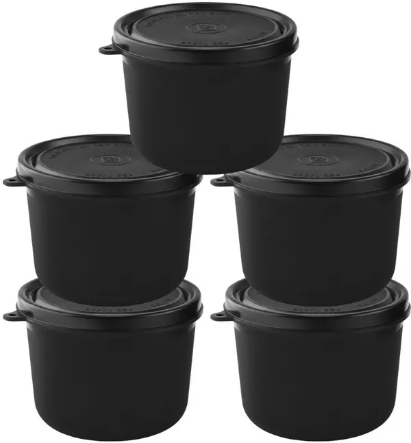 rajware_Microwave_Safe_Tiffin_Bowl,_Each_–_BLACK_Color_5_Containers_Polypropylene,_Stainless_Steel_Office_Lunch_Box_(500_ml,_Microwave_Safe)