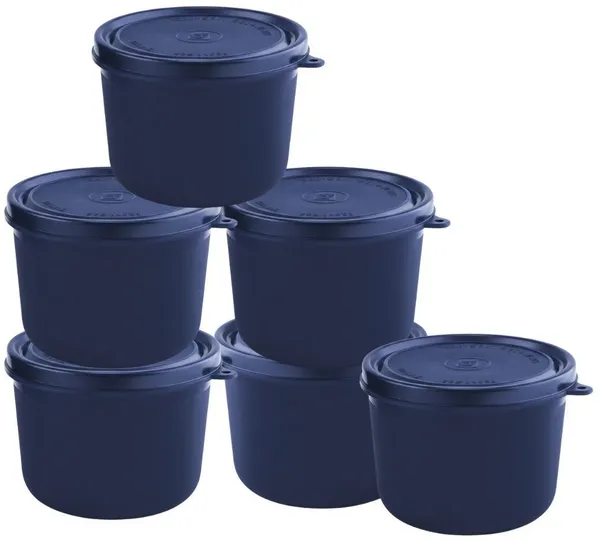 rajware_Microwave_Safe_Tiffin_Bowl,_Each_–_Navy_Blue_Color_6_Containers_Polypropylene,_Stainless_Steel_Office_Lunch_Box_(500_ml,_Microwave_Safe)