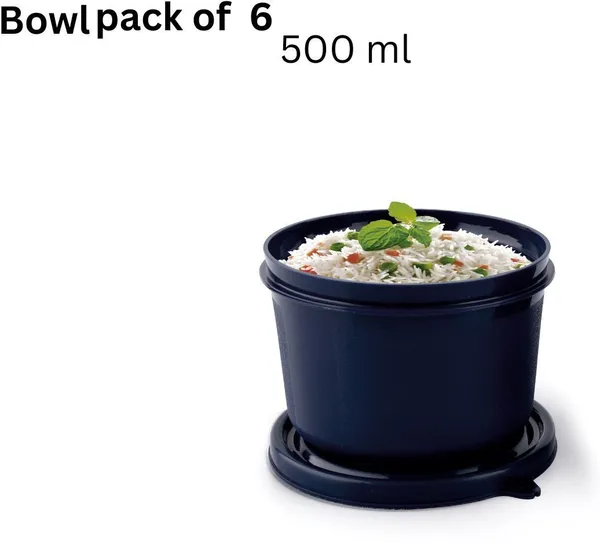 rajware_Microwave_Safe_Tiffin_Bowl,_Each_–_Navy_Blue_Color_6_Containers_Polypropylene,_Stainless_Steel_Office_Lunch_Box_(500_ml,_Microwave_Safe)