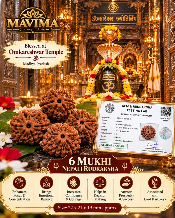 6_Mukhi_Nepali_Rudraksha_–_Natural_Sacred_Bead