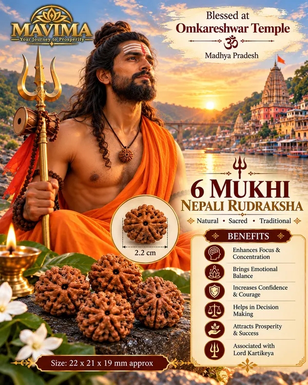6_Mukhi_Nepali_Rudraksha_–_Natural_Sacred_Bead