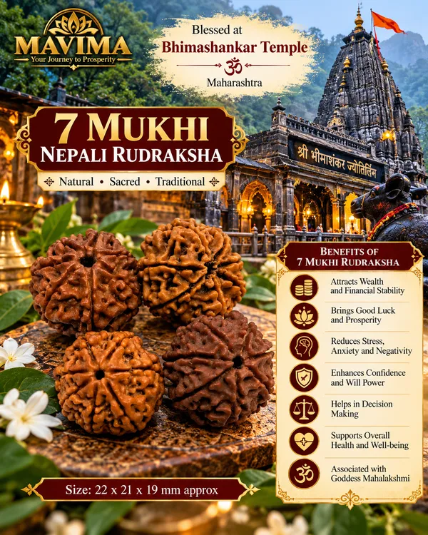7_Mukhi_Nepali_Rudraksha_–_Sacred_Bead_for_Prosperity_&_Abundance
