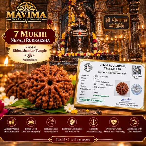 7_Mukhi_Nepali_Rudraksha_–_Sacred_Bead_for_Prosperity_&_Abundance
