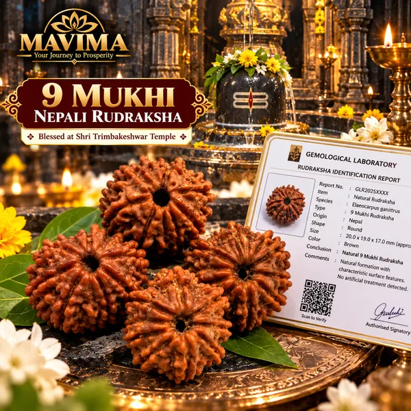 9_Mukhi_Nepali_Rudraksha_–_Symbol_of_Courage,_Strength_&_Spiritual_Power
