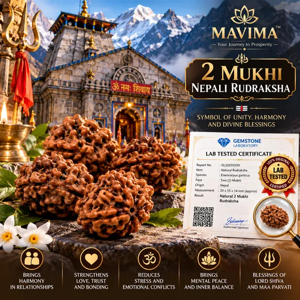 MAVIMA_2_Mukhi_Nepali_Rudraksha_–_Symbol_of_Unity,_Love_&_Harmony