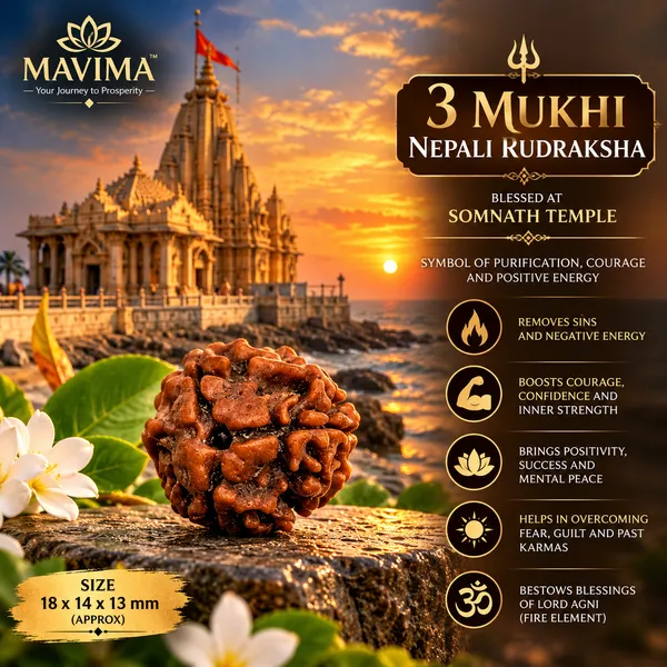 MAVIMA_3_Mukhi_Nepali_Rudraksha_–_Symbol_of_Courage,_Purification_&_New_Beginnings