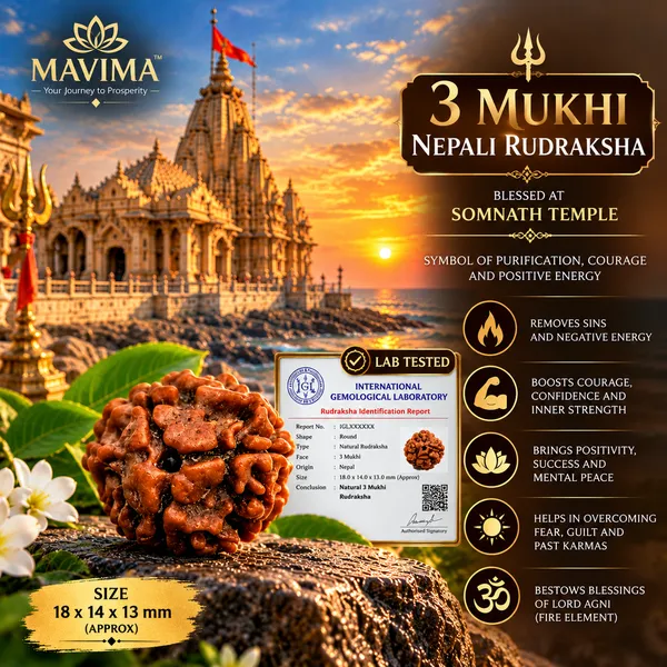 MAVIMA_3_Mukhi_Nepali_Rudraksha_–_Symbol_of_Courage,_Purification_&_New_Beginnings