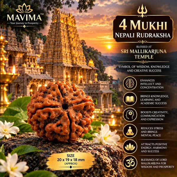 MAVIMA_4_Mukhi_Nepali_Rudraksha_–_Symbol_of_Knowledge,_Wisdom_&_Creativity