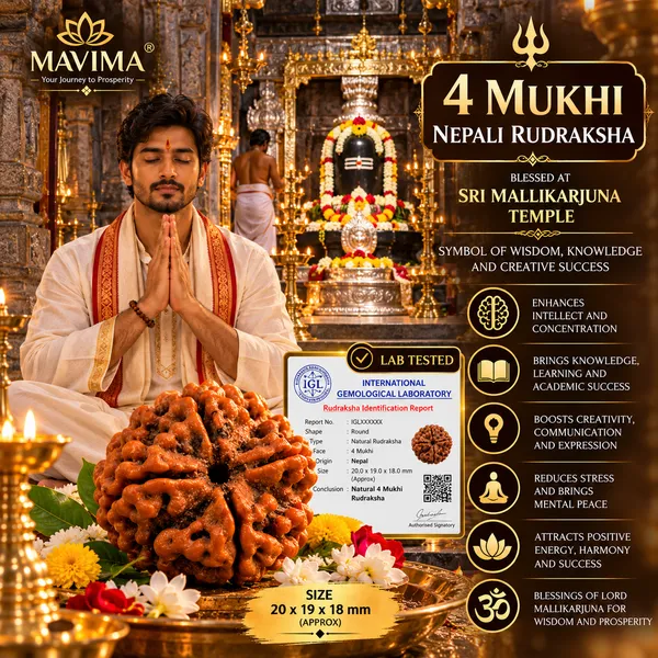 MAVIMA_4_Mukhi_Nepali_Rudraksha_–_Symbol_of_Knowledge,_Wisdom_&_Creativity