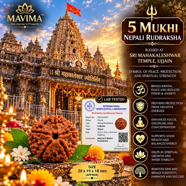 MAVIMA_5_Mukhi_Nepali_Rudraksha_–_Symbol_of_Peace,_Wisdom_&_Spiritual_Growth