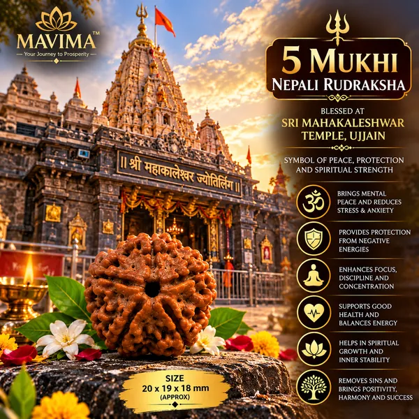 MAVIMA_5_Mukhi_Nepali_Rudraksha_–_Symbol_of_Peace,_Wisdom_&_Spiritual_Growth
