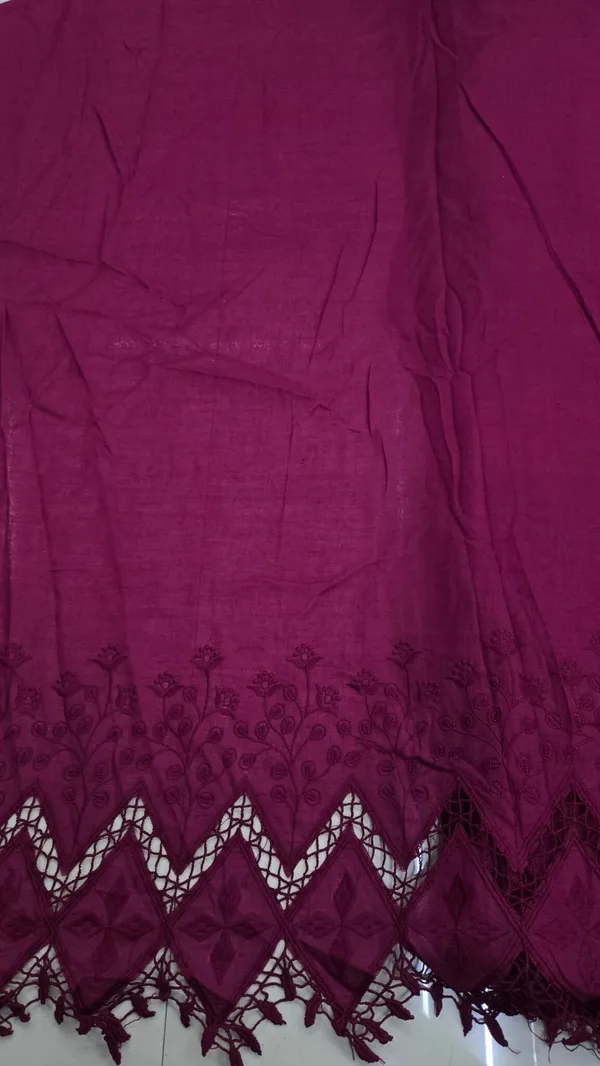 Wine_Hakoba_Style_Daman_Embroidery_On_Cotton_Fabric