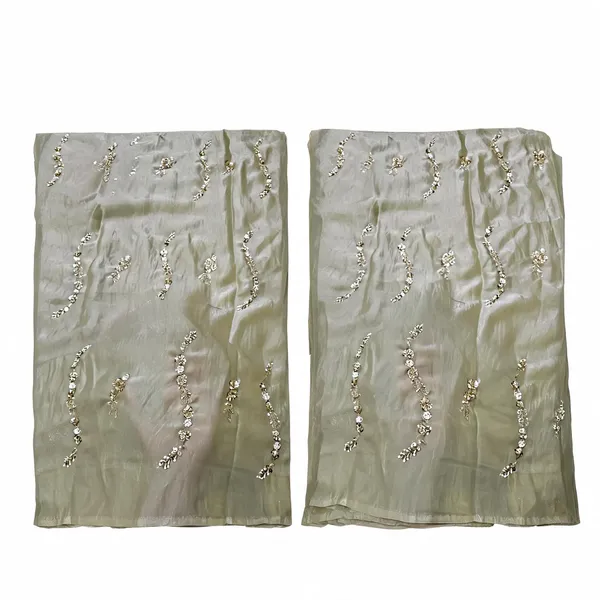 Pista_Beads_Embroidery_On_Space_Silk_Fendy_Fabric