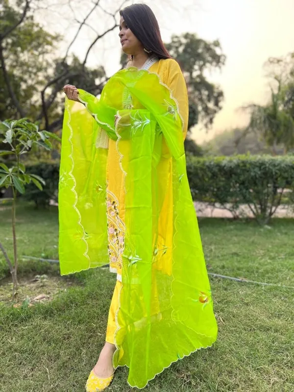 Green_Organza_Hand_Painted_Sequin_Border_Dupatta_For_Women