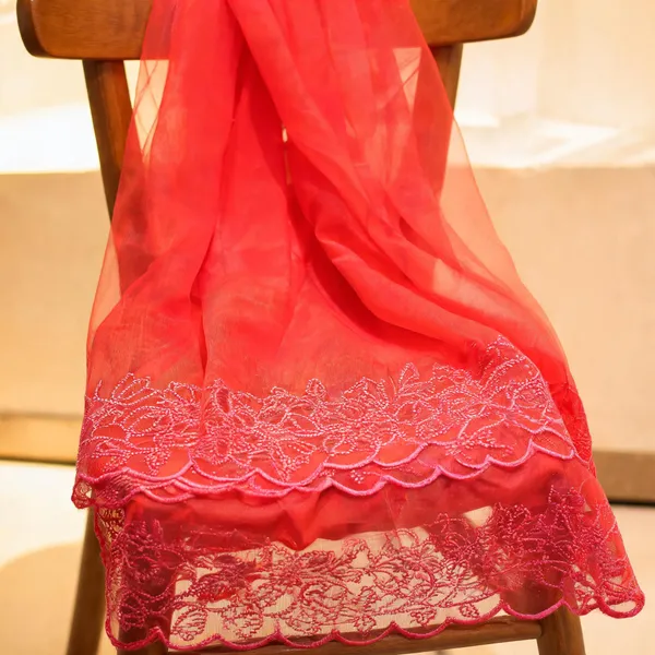 Pink_Organza_Tone-To-Tone_Embroidered_Border_Dupatta_For_Women