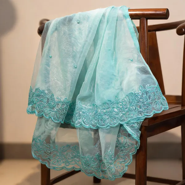 Blue_Organza_Tone-To-Tone_Embroidered_Border_Dupatta_For_Women