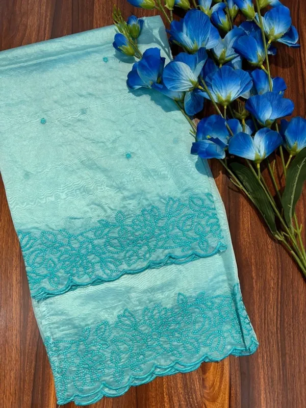 Blue_Organza_Tone-To-Tone_Embroidered_Border_Dupatta_For_Women