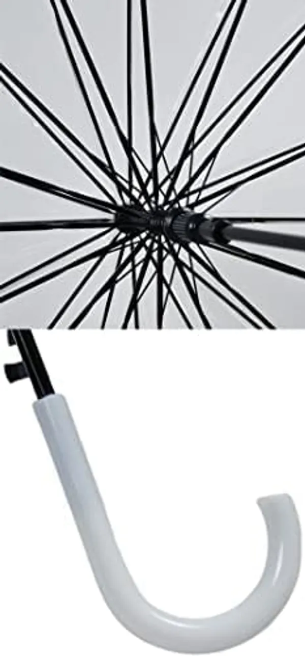 Transparent_Umbrella