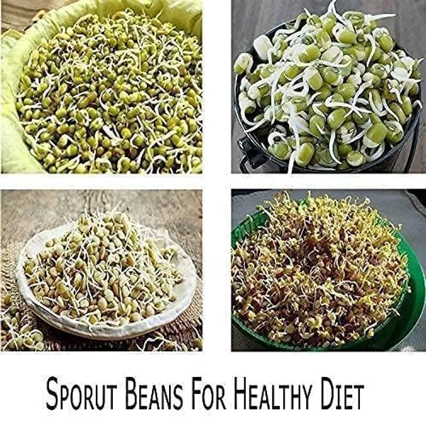 Sprouts_Maker_Container