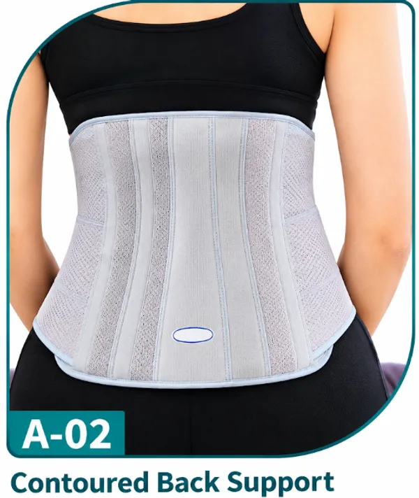 contoured_back_support