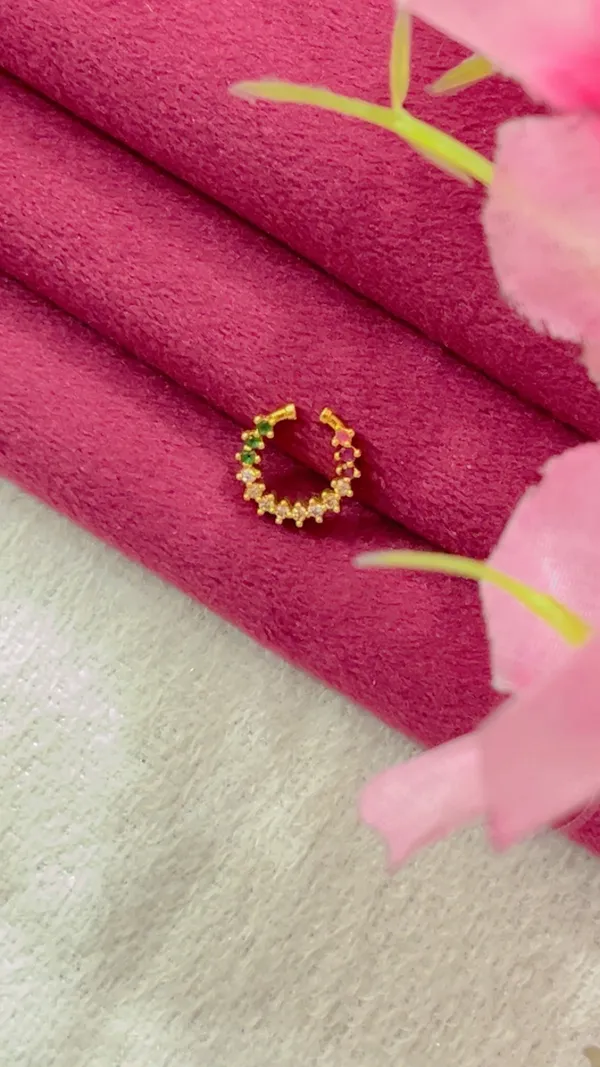 Gold_Toned_Embellished_Nose_Ring_for_Women_-_Pack_of_2