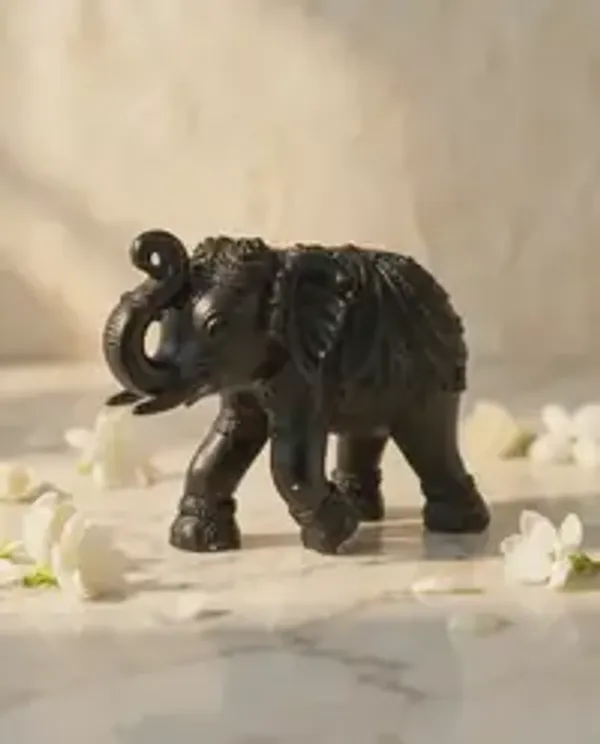 Premium_Black_Lucky_Elephant_Idol_Handcrafted_Vastu_Elephant_Statue_For_Home_Entrance_Office_Desk_Living_Room_Spiritual_Decor