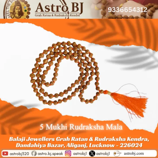 Astrobj_5_Mukhi_Rudraksha_Mala_Vedic_Energised_108_Beads
