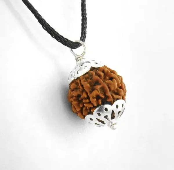 Astrobj_6_Mukhi_Rudraksha_Silver_Cap_Red_Cord_Pendant
