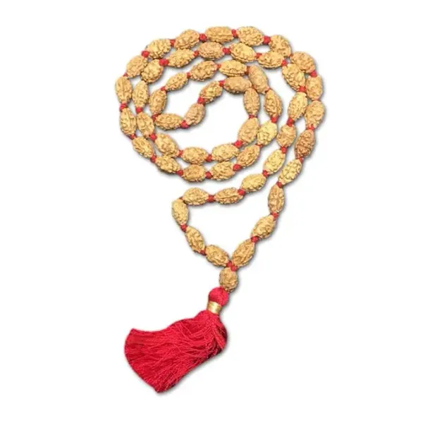 Astrobj_2_Mukhi_Rudraksha_Mala_Vedic_Energised_108_Beads