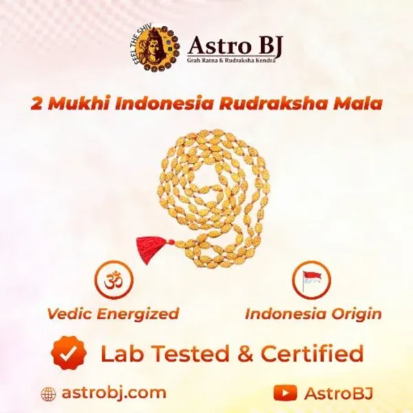 Astrobj_2_Mukhi_Rudraksha_Mala_Vedic_Energised_108_Beads